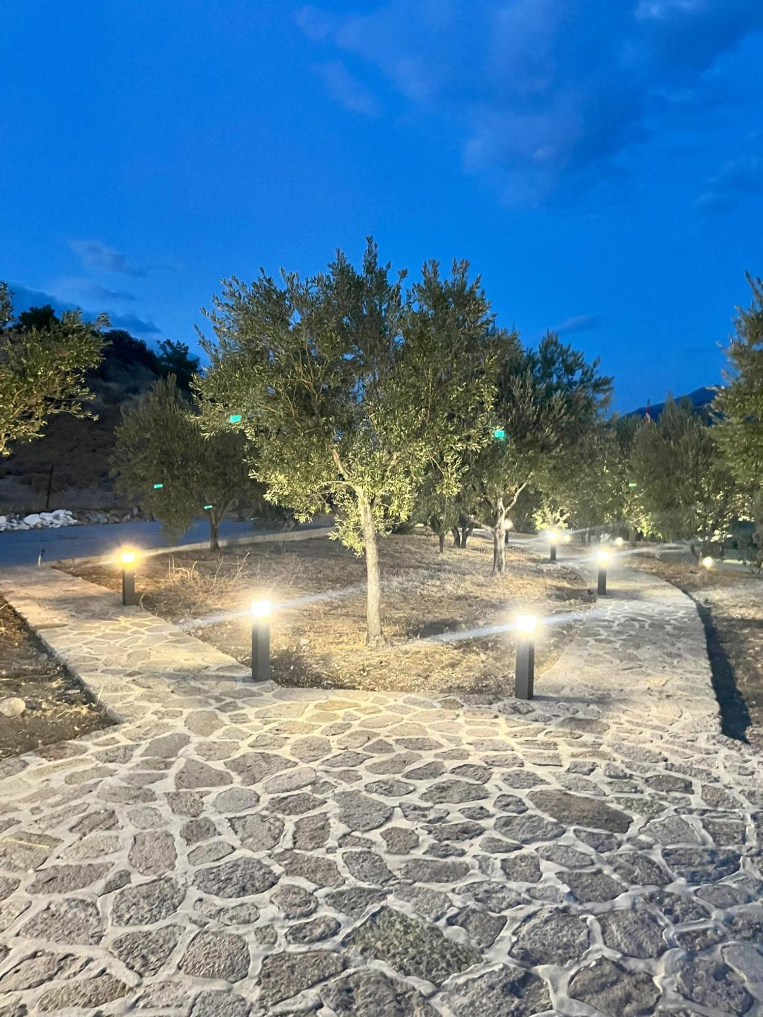 Ξενοδοχείο Δευκαλίων Πέτρα Εξωτερικό φωτογραφία
